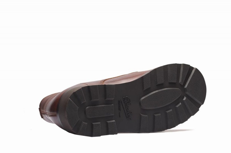 Paraboot Maine Stiefeletten Herren Braun | DPI2856BE
